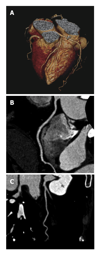 Paper 181 · fig-2