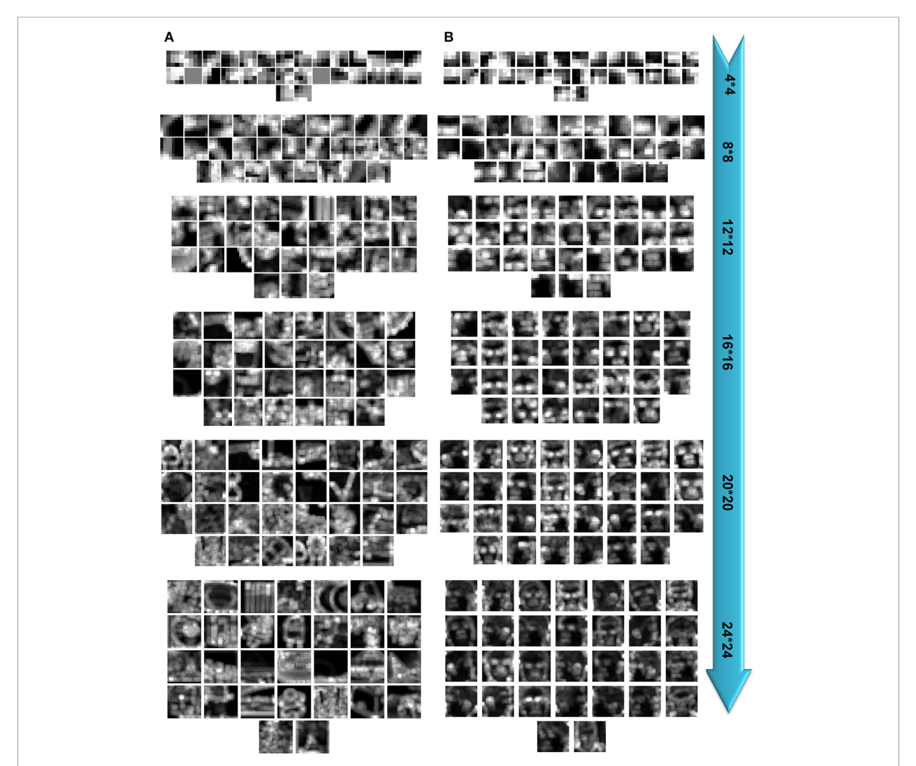 Paper 183 · fig-11