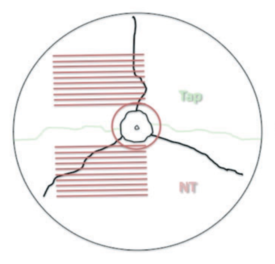 Paper 192 · fig-3