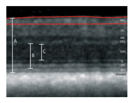 Paper 192 · fig-4