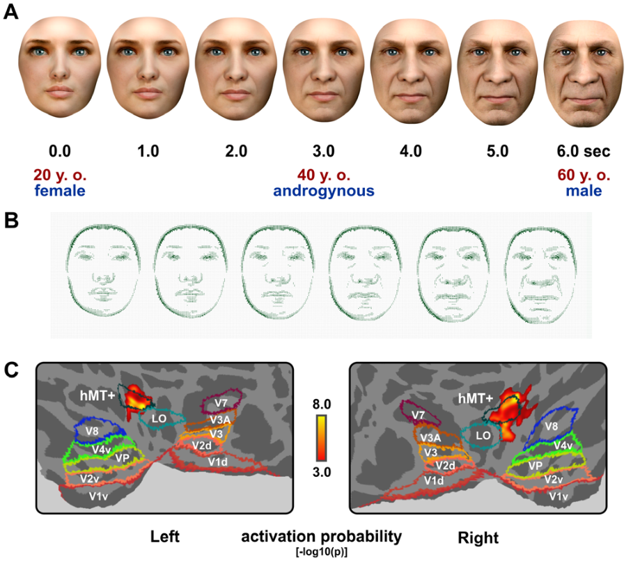 Paper 193 · fig-1