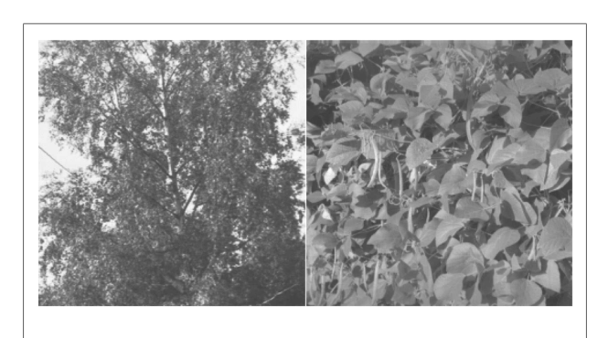 Paper 194 · fig-22