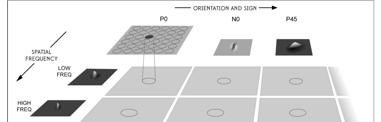 Paper 195 · fig-6