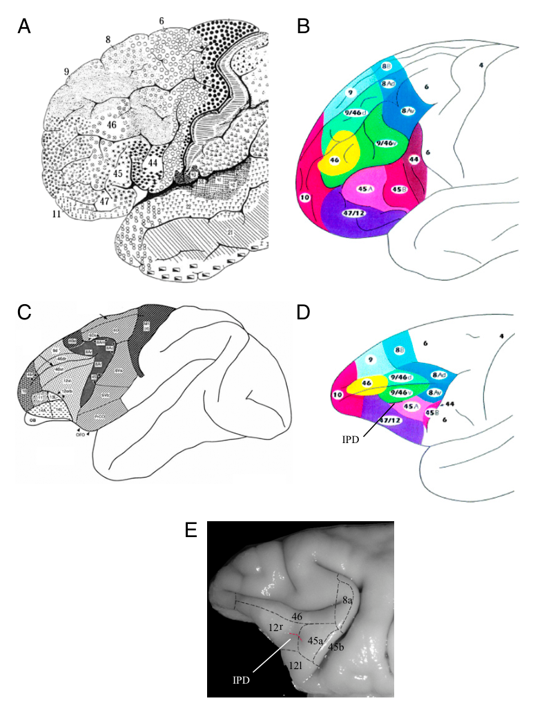 Paper 198 · fig-1
