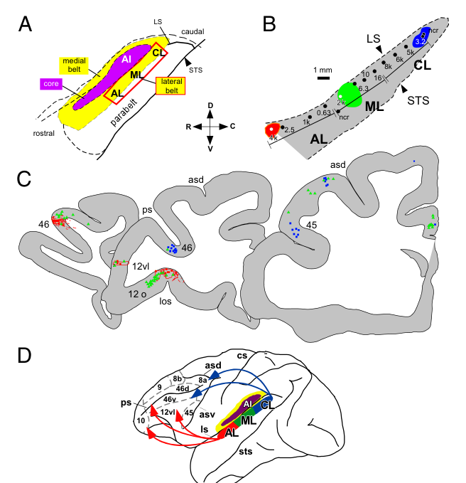 Paper 198 · fig-2