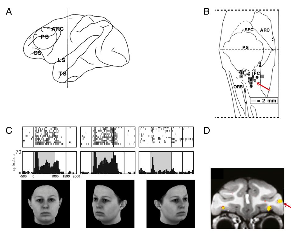 Paper 198 · fig-3