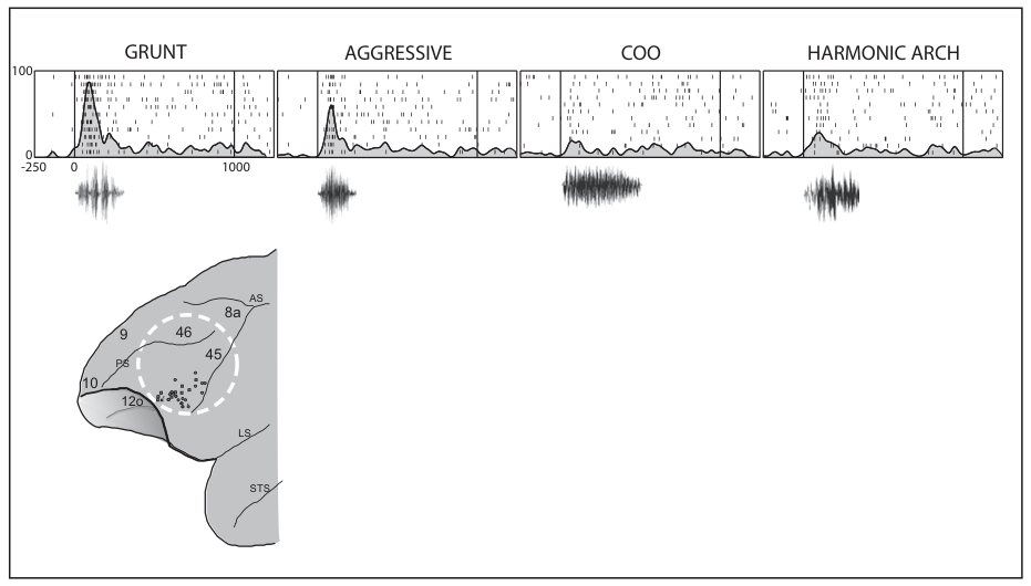 Paper 198 · fig-4