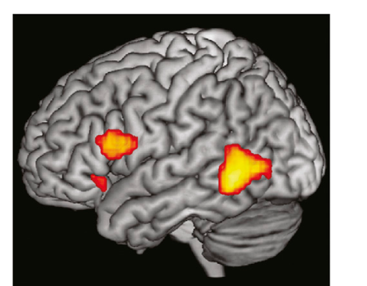 Paper 198 · fig-6