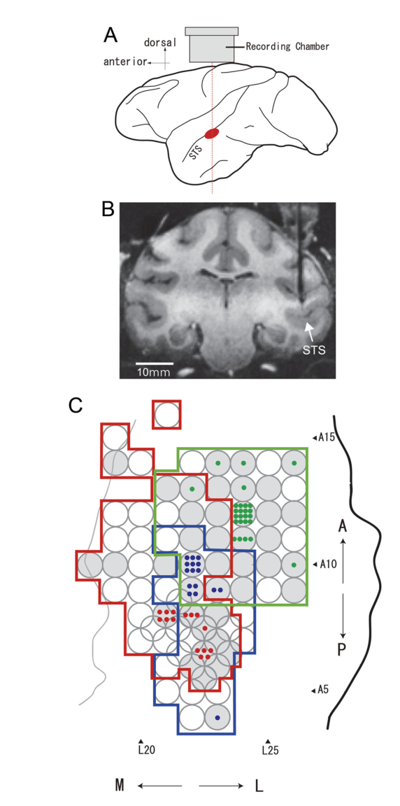 Paper 201 · fig-2