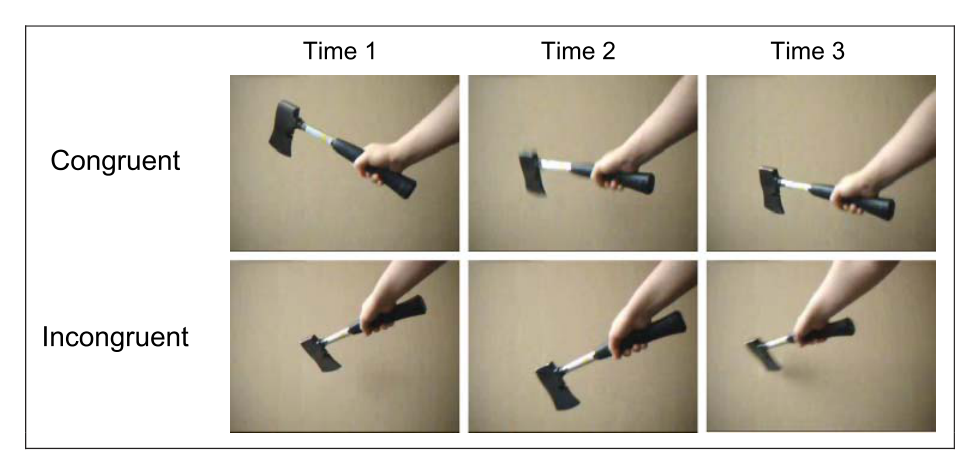 Paper 203 · fig-1