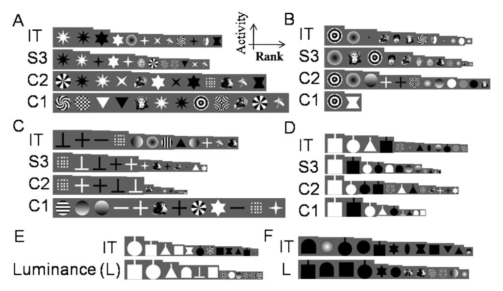 Paper 206 · fig-11