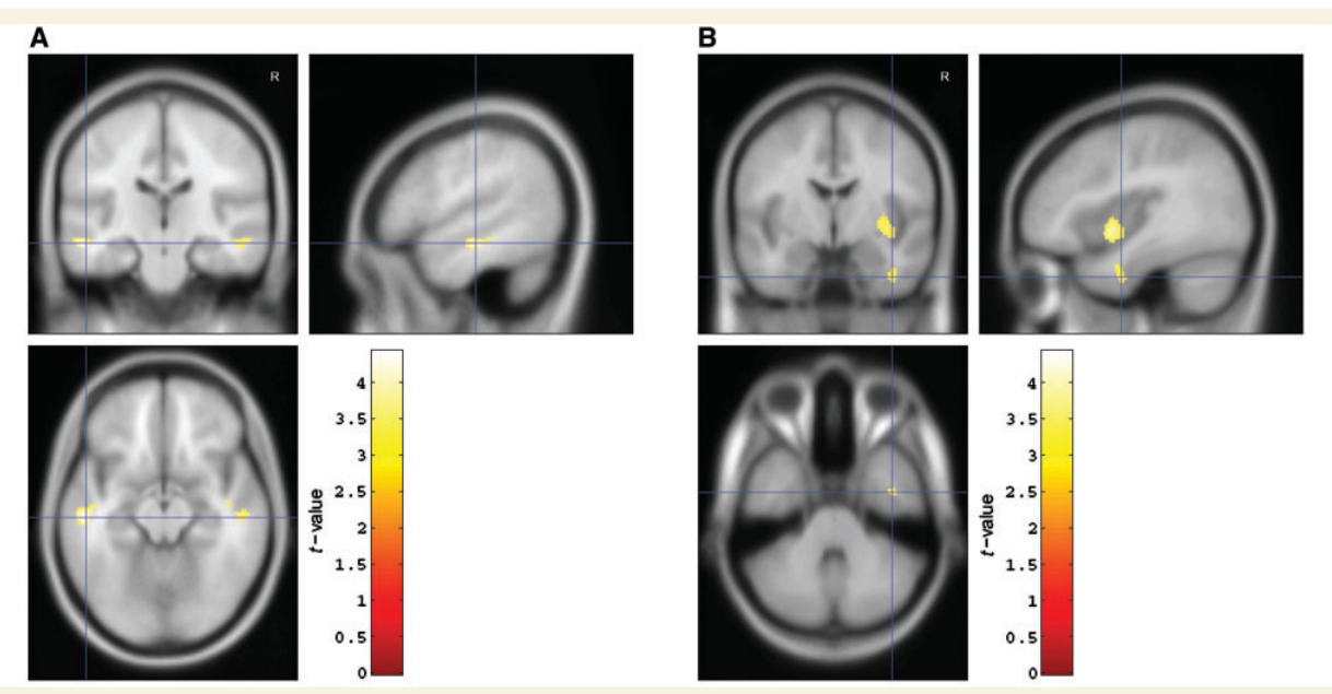 Paper 207 · fig-1