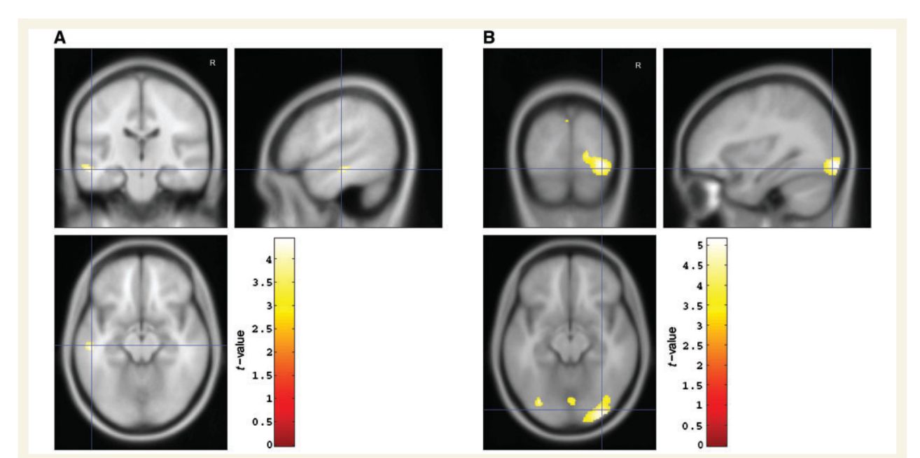 Paper 207 · fig-4