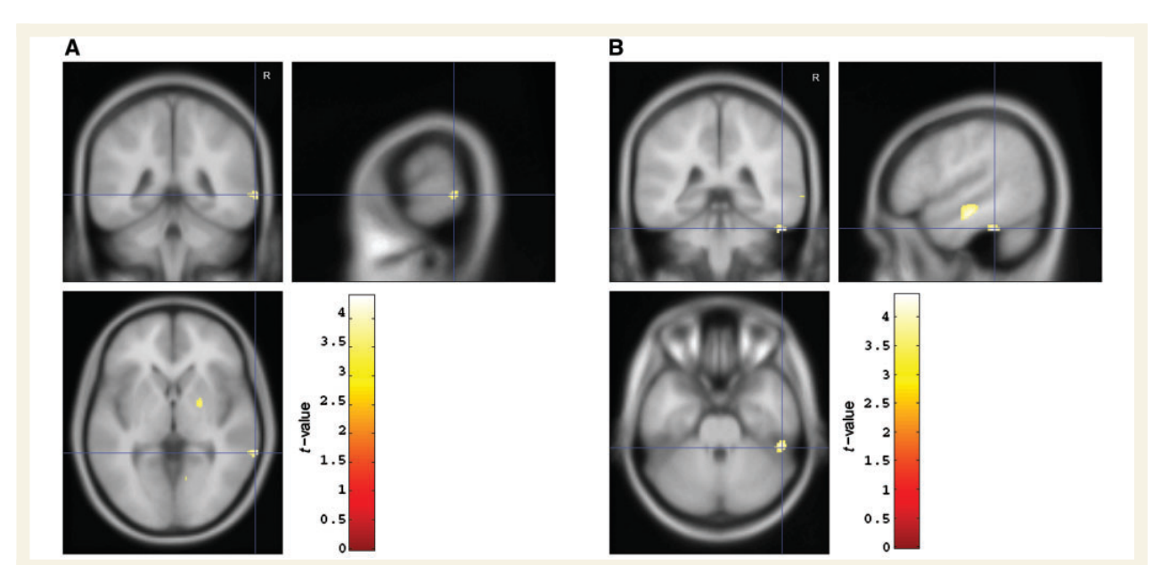 Paper 207 · fig-5