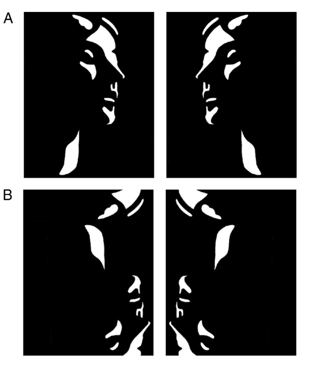 Paper 211 · fig-1