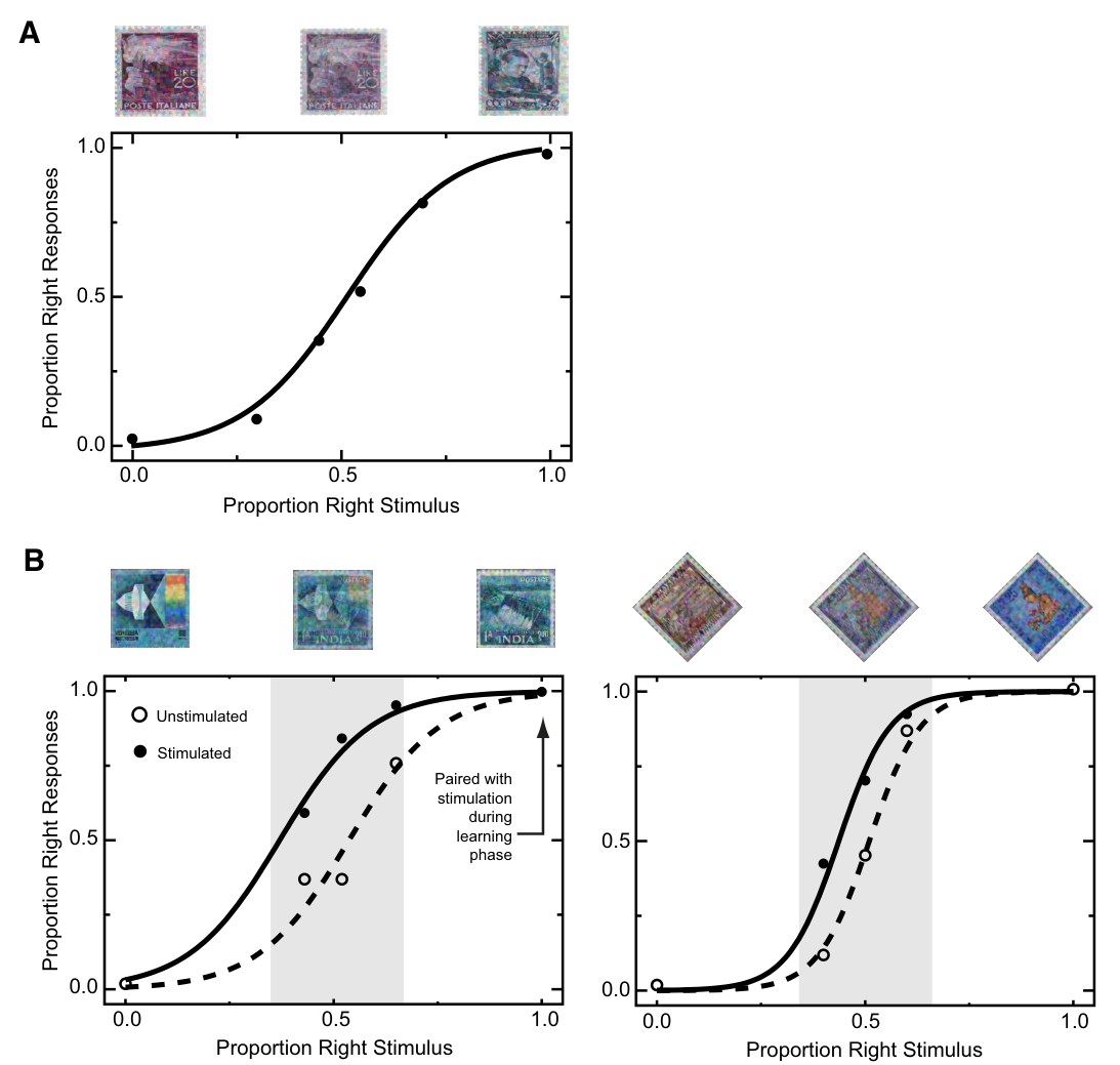 Paper 214 · fig-6