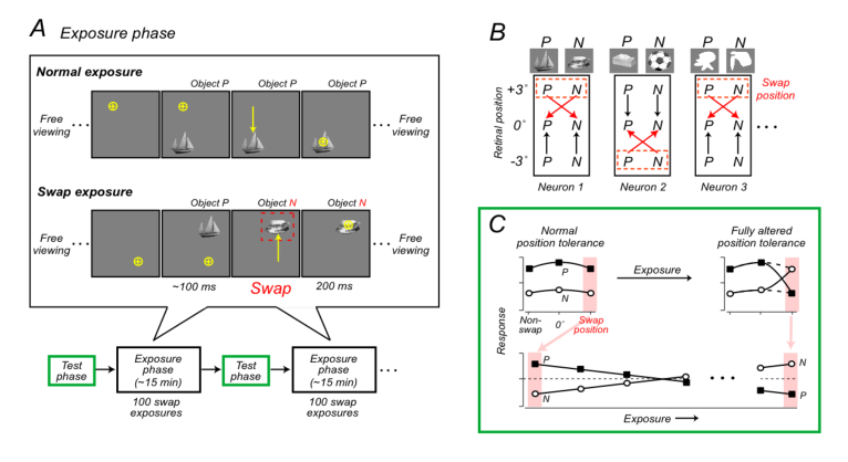 Paper 217 · fig-1
