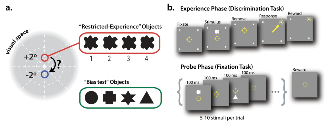 Paper 218 · fig-1