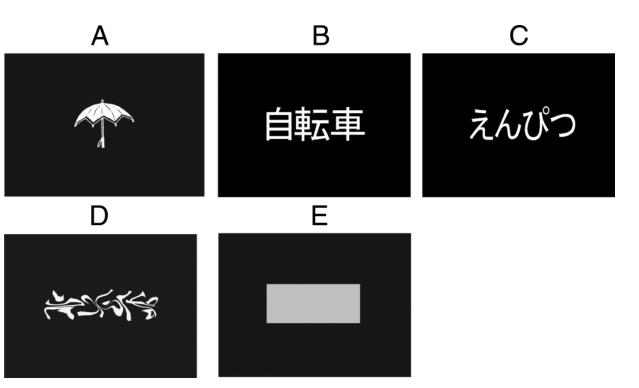Paper 224 · fig-1