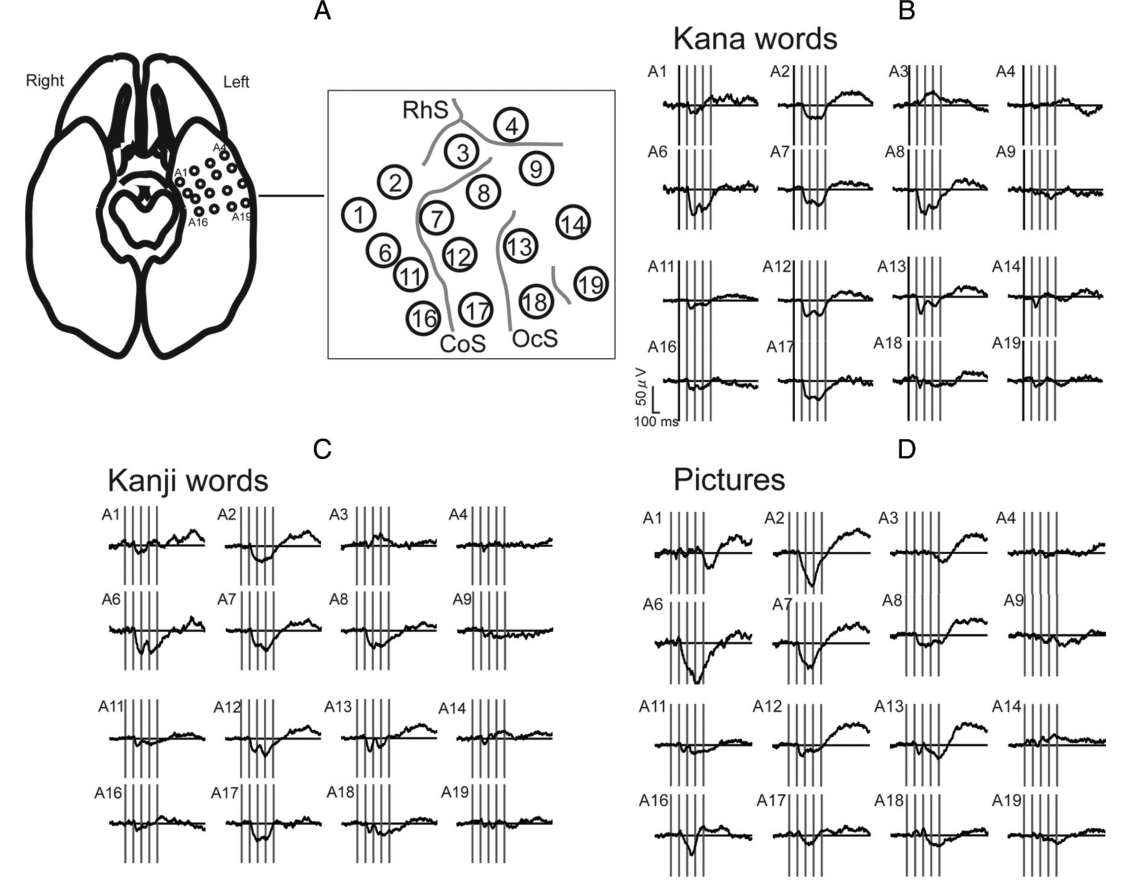 Paper 224 · fig-2