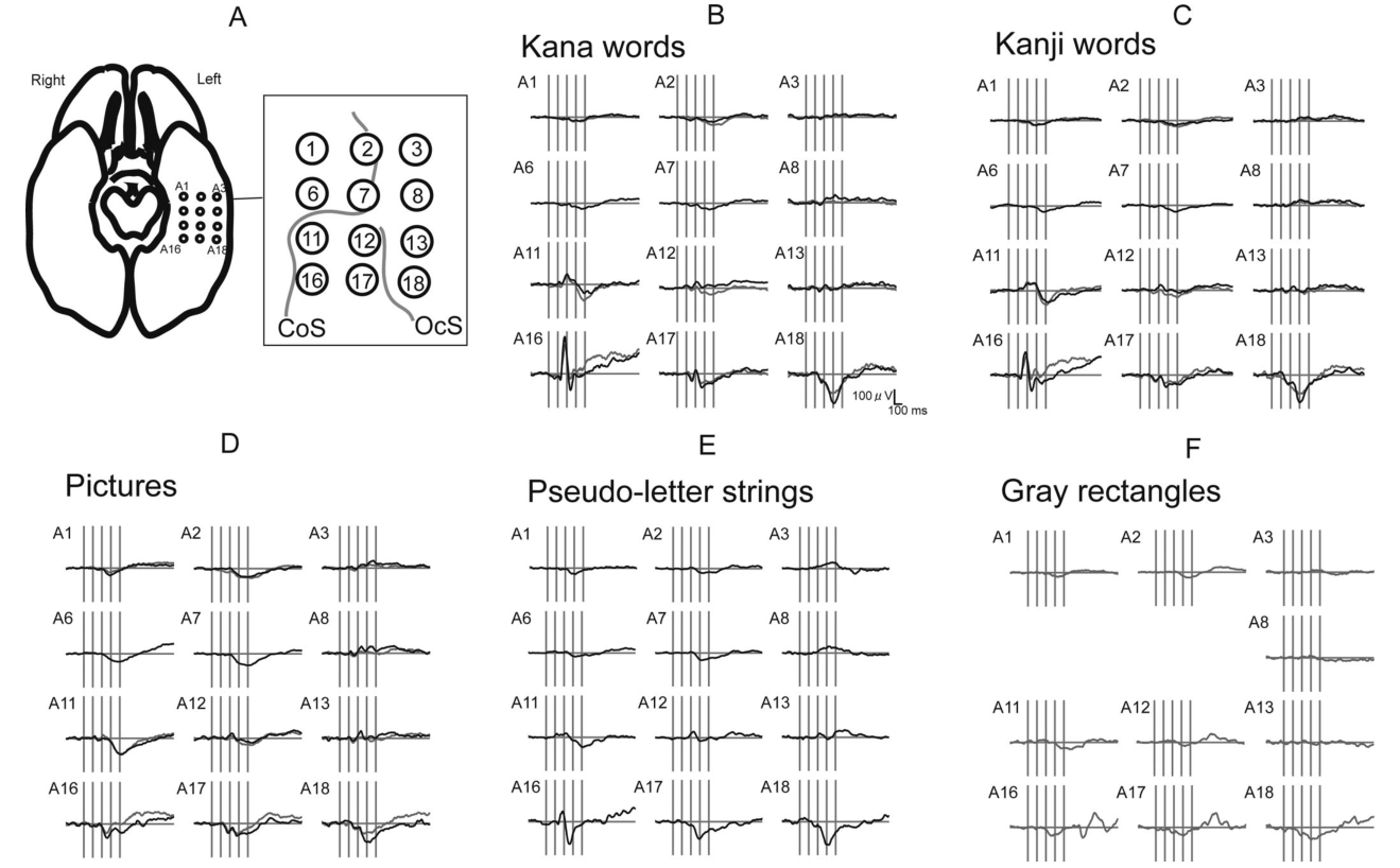 Paper 224 · fig-3