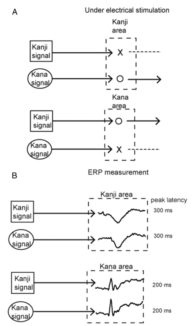 Paper 224 · fig-4