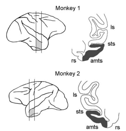Paper 227 · fig-1