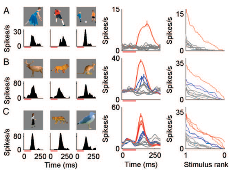 Paper 227 · fig-7