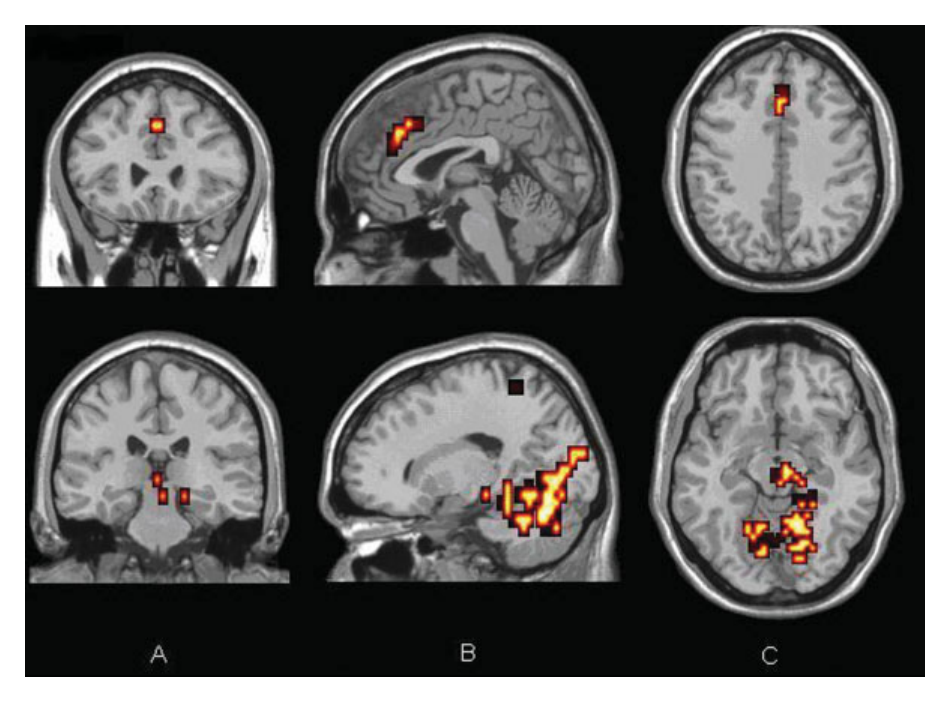 Paper 233 · fig-6