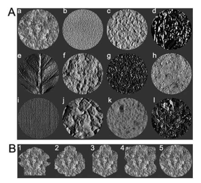 Paper 234 · fig-1