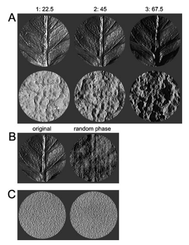 Paper 234 · fig-2