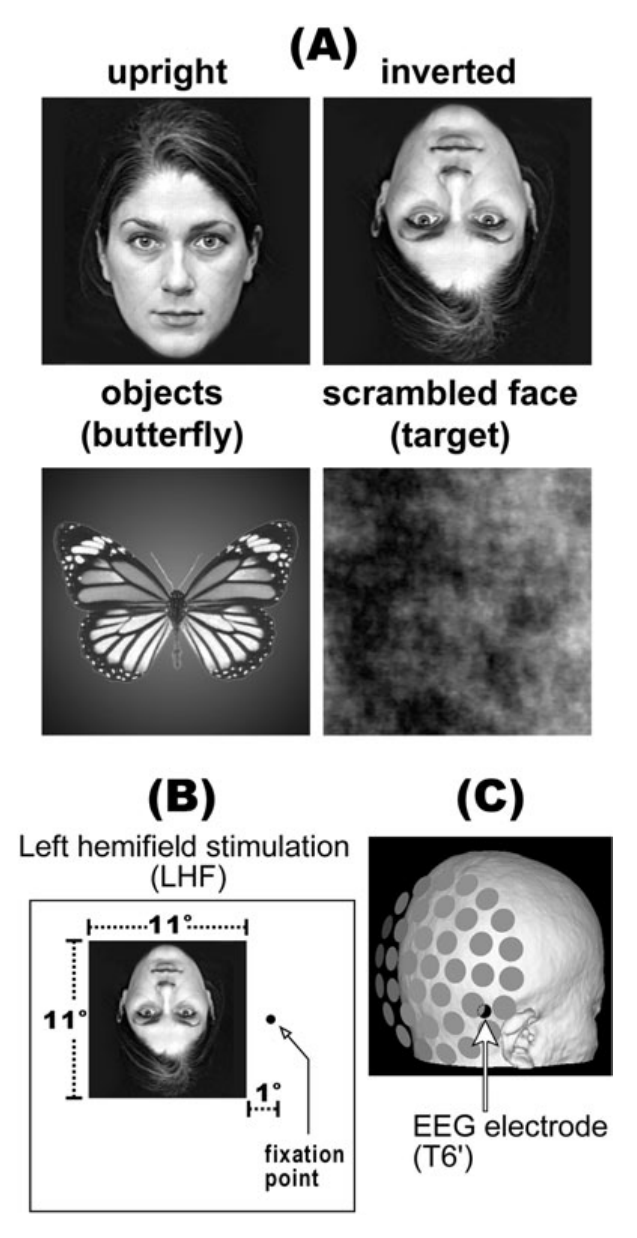 Paper 237 · fig-1