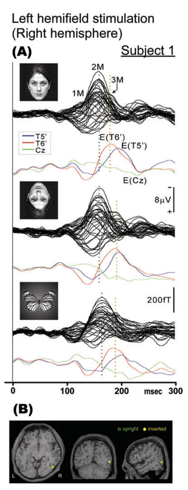 Paper 237 · fig-3