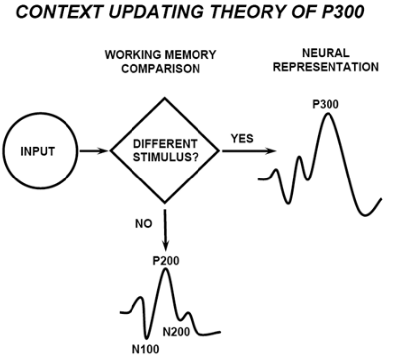 Paper 244 · fig-1