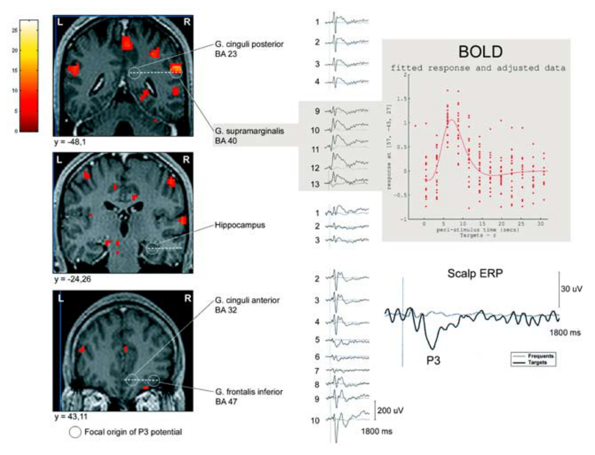Paper 244 · fig-4