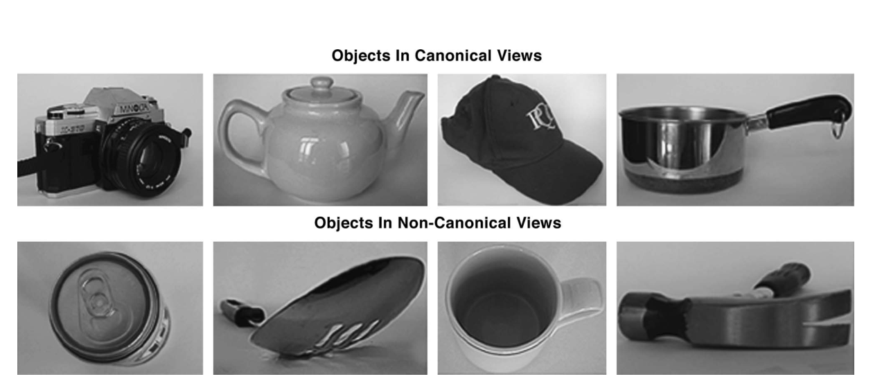 Paper 245 · fig-1