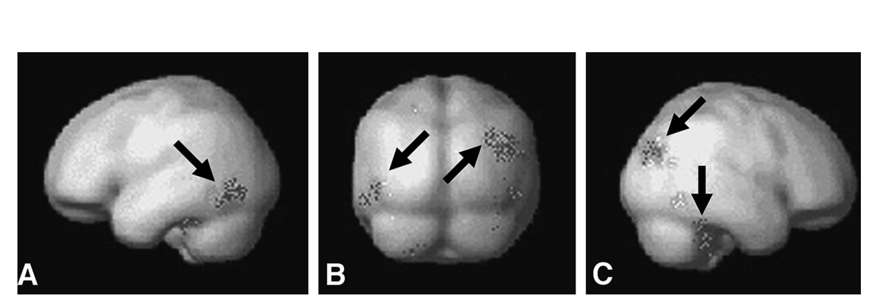 Paper 245 · fig-2
