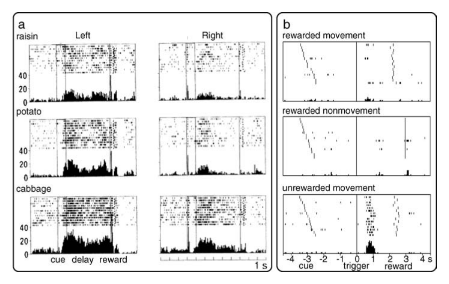 Paper 246 · fig-11