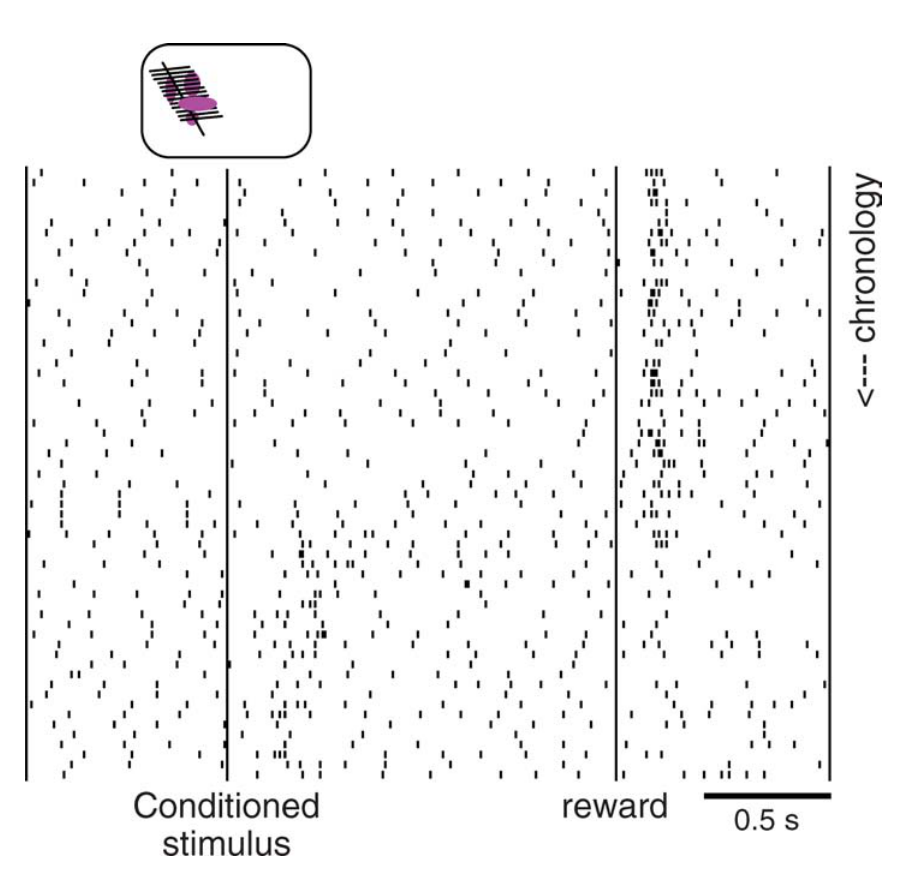 Paper 246 · fig-2