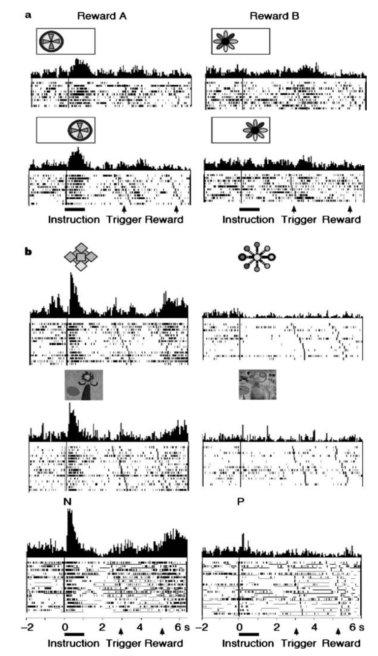 Paper 246 · fig-4