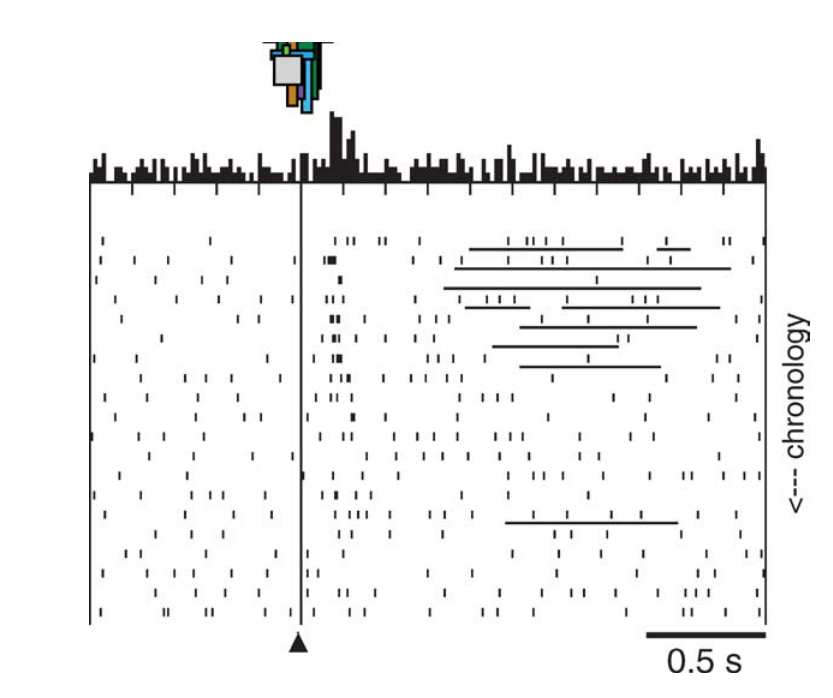 Paper 246 · fig-5