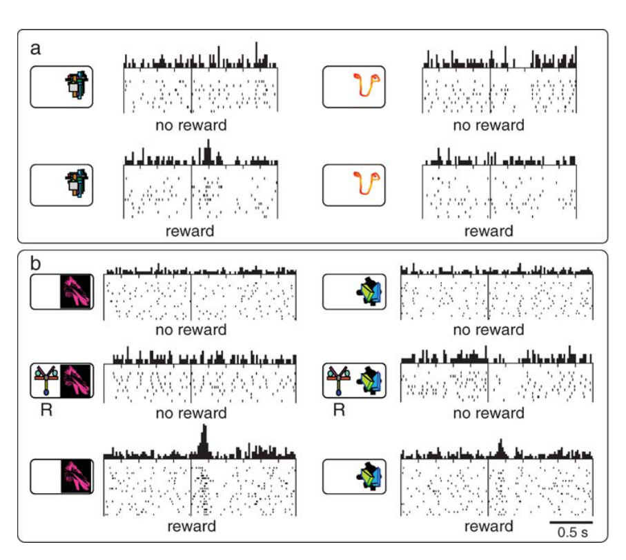 Paper 246 · fig-8