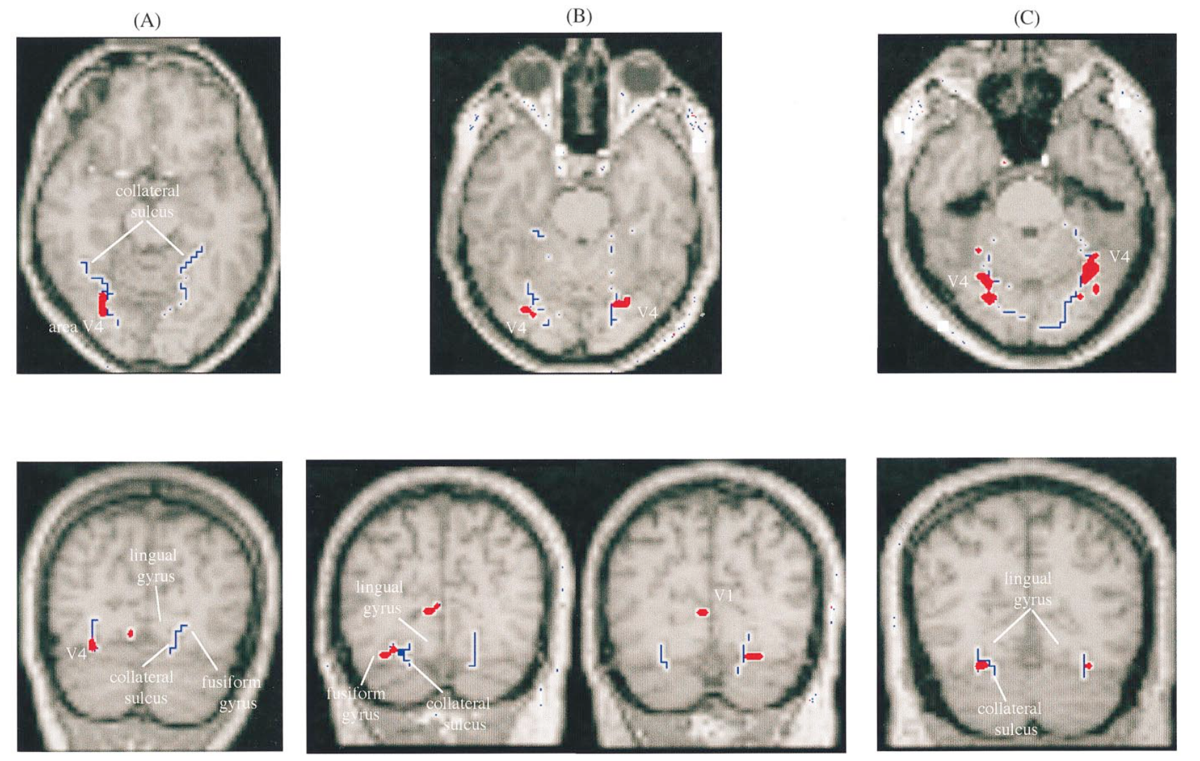 Paper 248 · fig-10