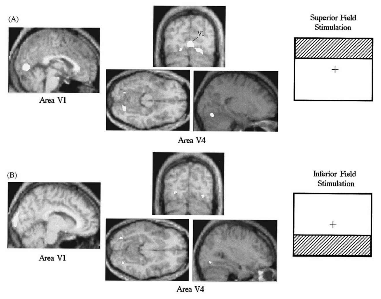 Paper 248 · fig-7