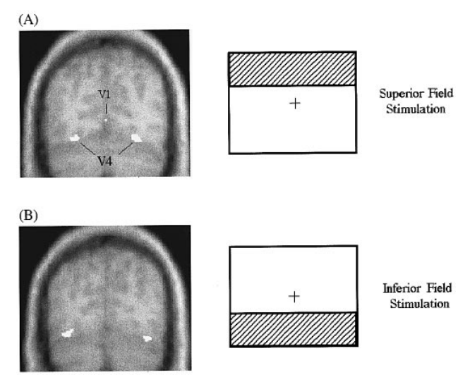 Paper 248 · fig-8