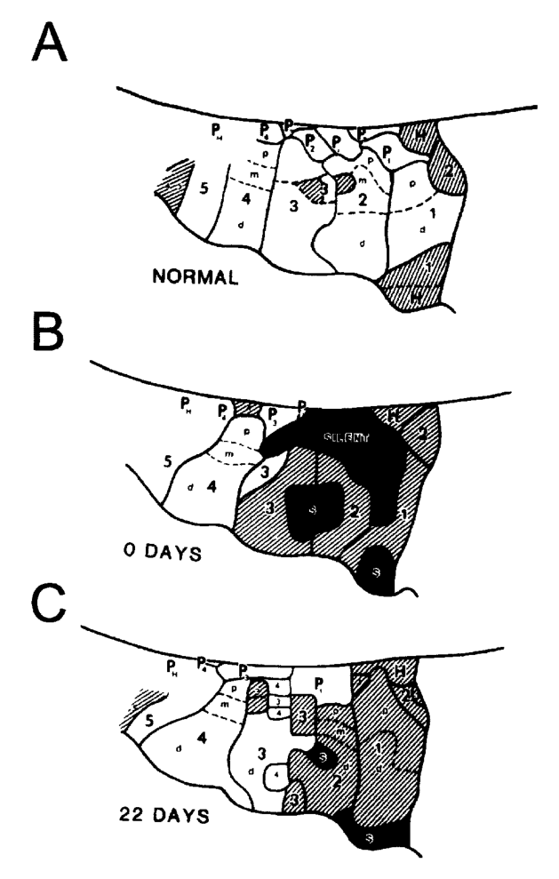 Paper 249 · fig-2
