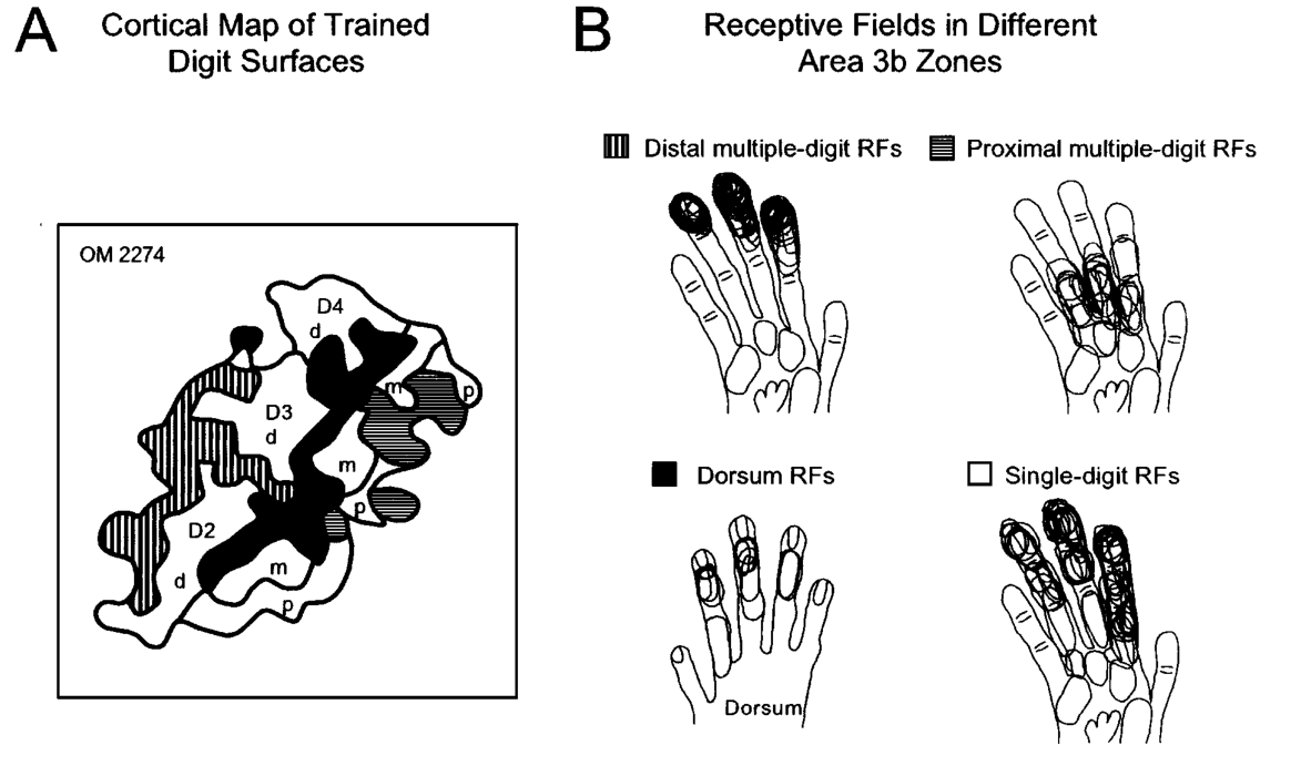 Paper 249 · fig-3