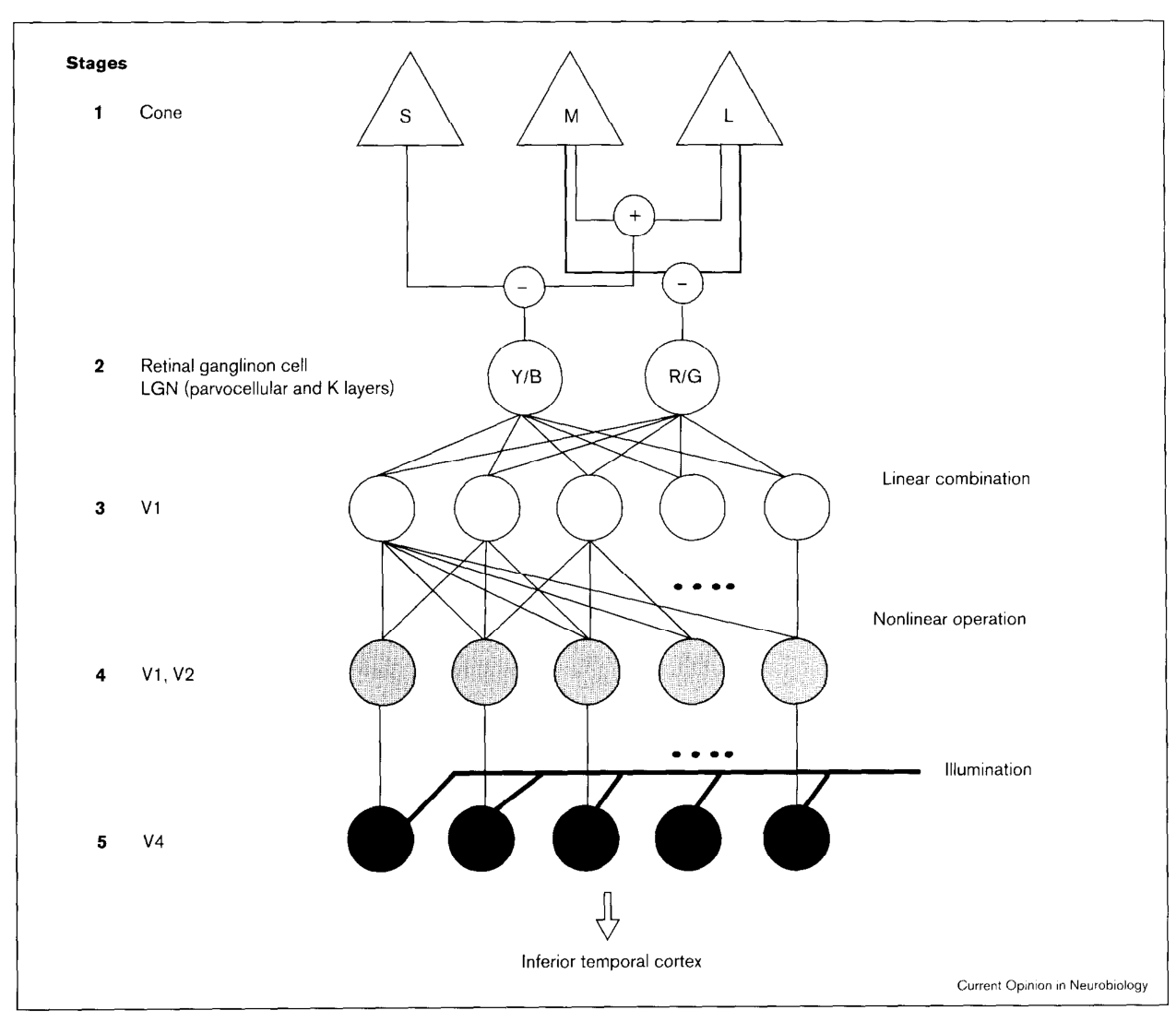 Paper 250 · fig-1