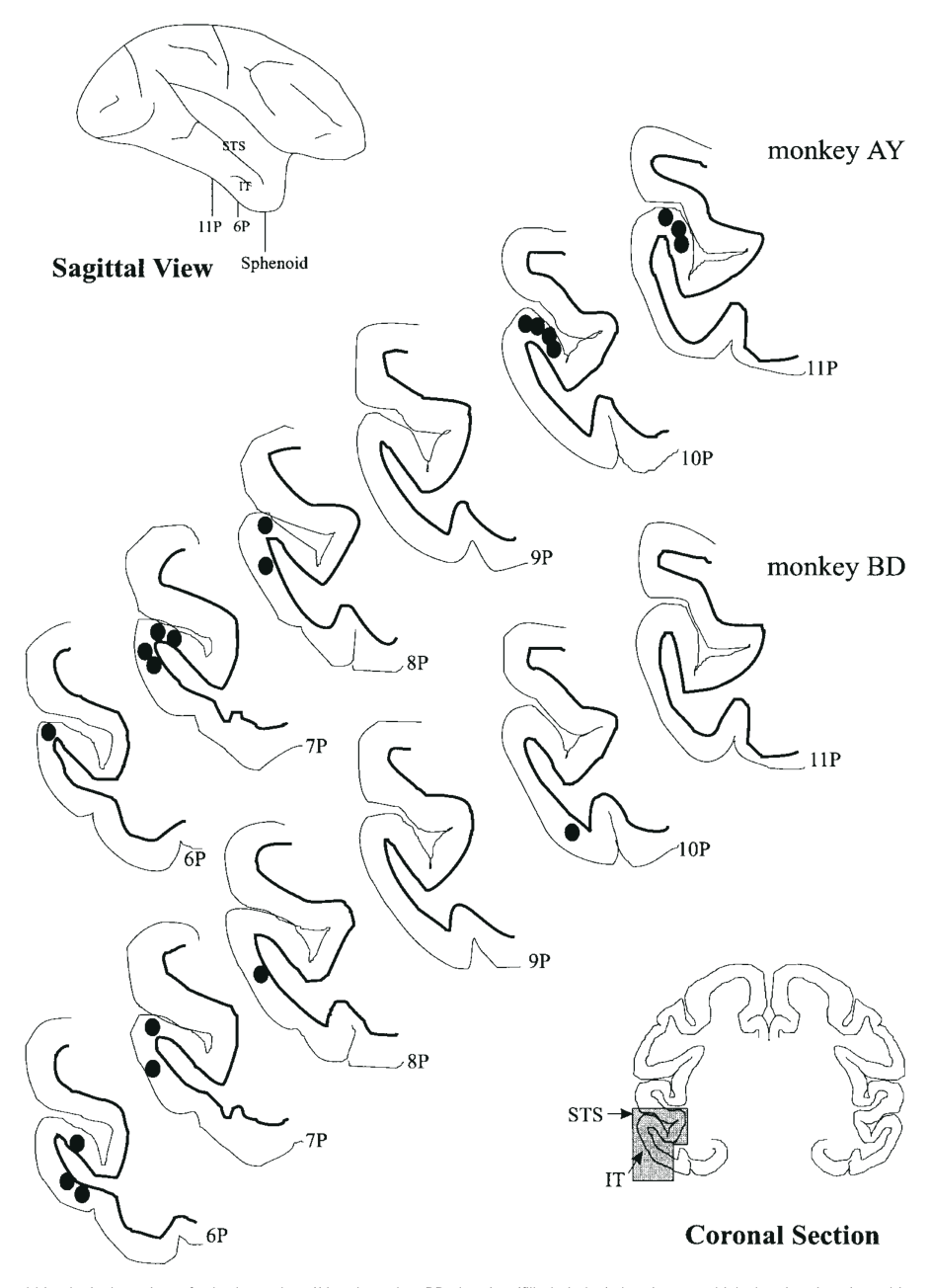 Paper 251 · fig-13