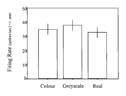 Paper 251 · fig-5